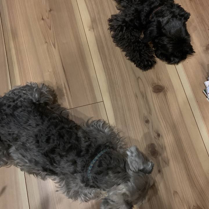 56a13398 bb95 442f a404 7b57c9687f00 1589285643004