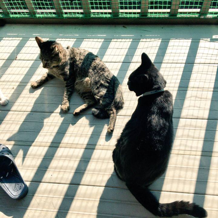 56a1664c 7ac4 4f44 8365 a91121d82de3 1512693890635