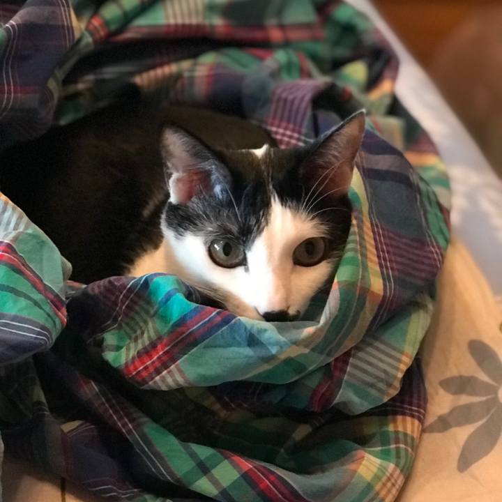 56a189e4 94b2 4018 9830 1186eee66bb0 1527651012740