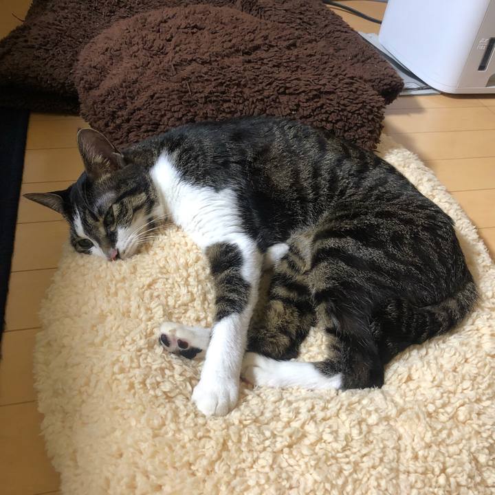 56a1d5dd 2ca9 4fe4 a0dc daa0879a8b1a 1641549681915