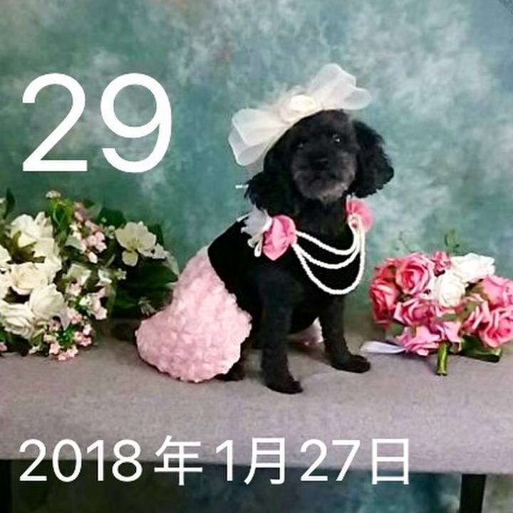 56a1dcd9 2546 41da aa47 b3931cadb39d 1769678791493