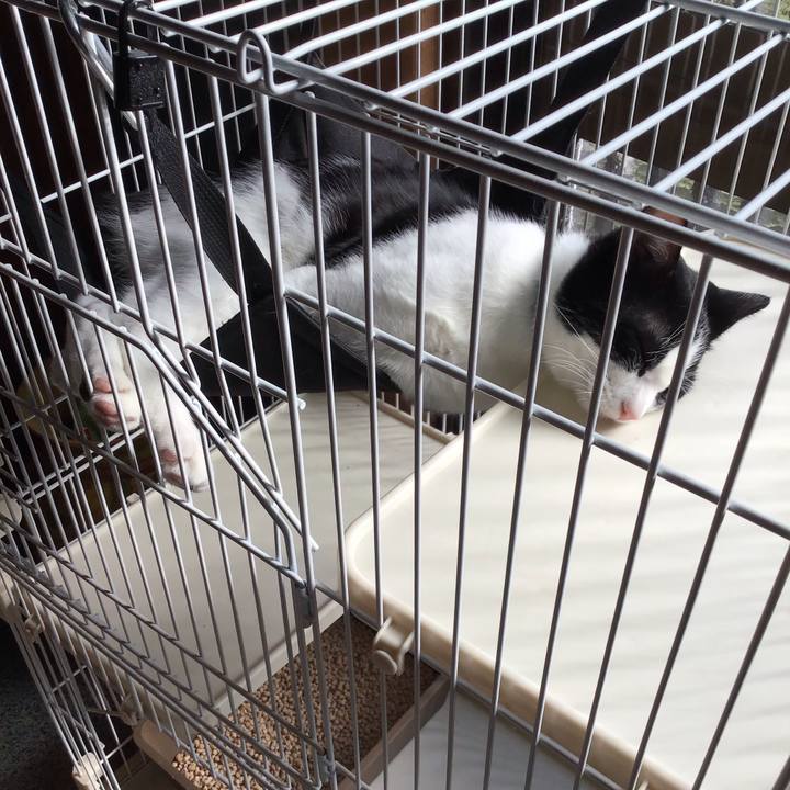 56a201df e4e7 49c1 b809 b4db59bbf00d 1635233367195