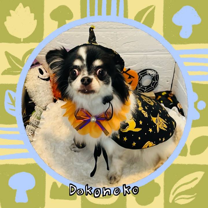 56a20dda edf0 418f 923b b4b6a07f5cb3 1761901154053