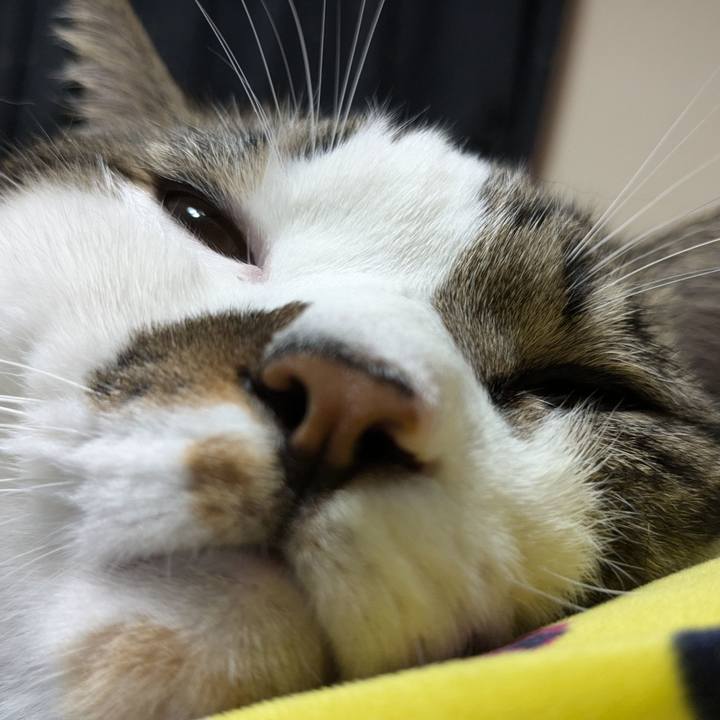 56a253e2 51aa 4449 9c6a 64e53aeed66c 1728345855910