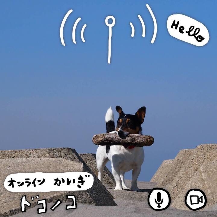 56a26002 23ed 4779 ba0b 565bbf811d35 1590729915283