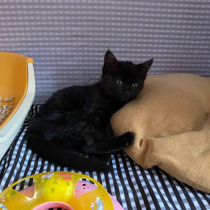 56a28ed2 e109 4f2f a202 05ae18dd1641 1635660796615