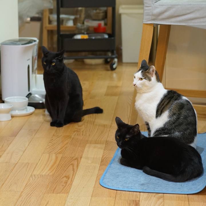 56a2a787 1c4e 4818 bf52 67f4ec23901c 1551829305815