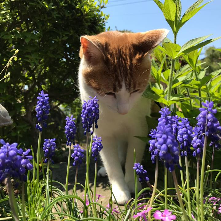 56a2ac8d 023d 4cd1 acd4 63335e56ab66 1524882550124