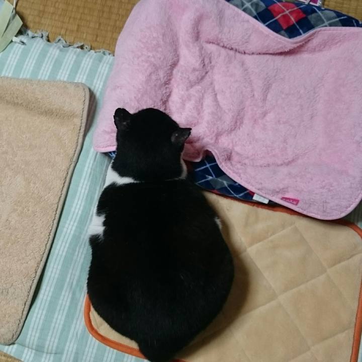 56a2dc6b 0222 4043 9b25 5f31ca7b8c0b 1508147533773