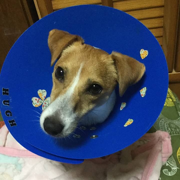 56a2ddc1 eb45 4560 8354 6779b50f72f1 1537096599029