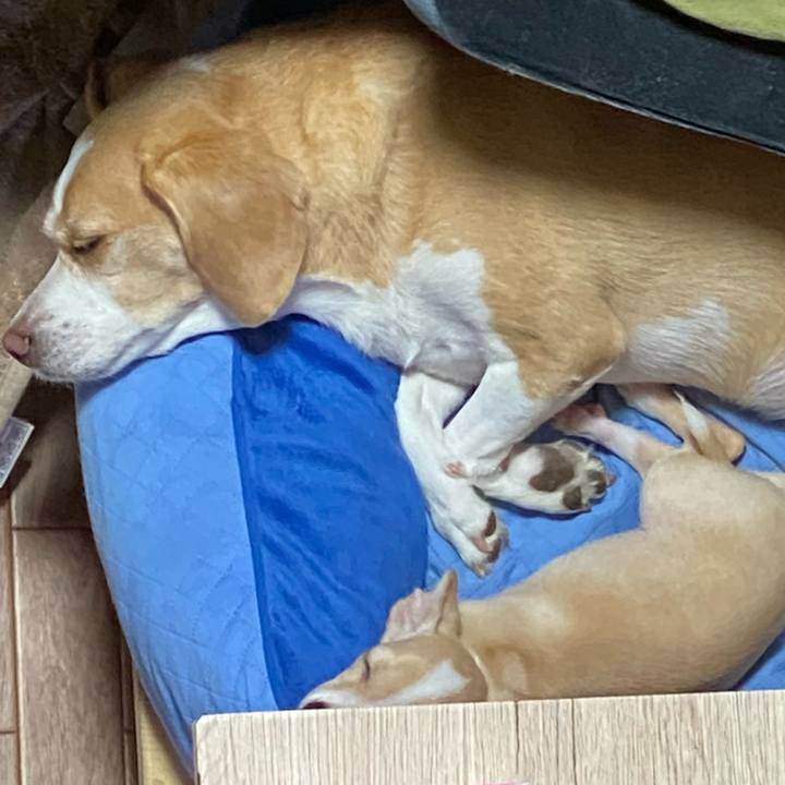 56a3085f 602d 4f3f b9cd fe708cf908e7 1662422226713