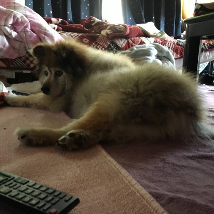 56a314d5 97c8 46b9 a3cc b8d629f364cb 1569187884826