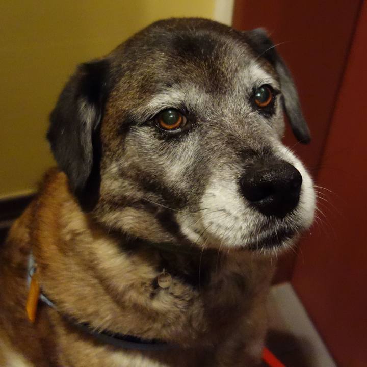 56a370f2 1402 4e06 a2ee 7d349f94752a 1632357676553