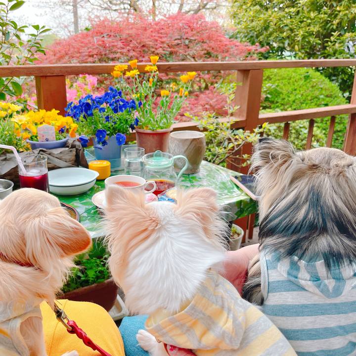 56a3c3c6 11cf 44eb b469 b275f1093244 1649733021412