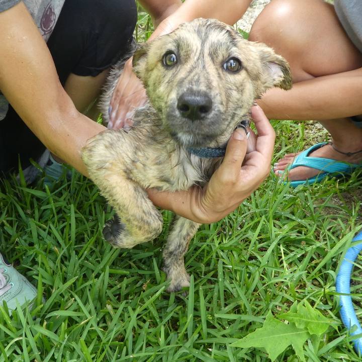 56a3d4f3 2446 4da8 936f dd4744485eca 1656514016658