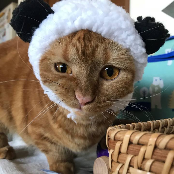 56a3fa5a 77cf 4de4 a7a5 83ac13235632 1533113478259