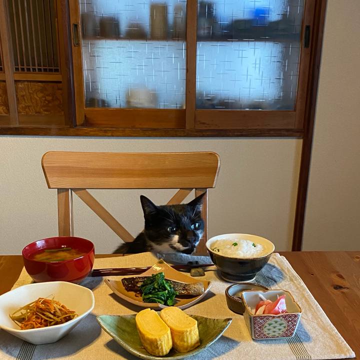 56a40d7f 8cd7 4fc9 af4c eb16a8bca797 1616373923503