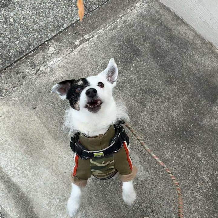 56a4165b b97f 425a 866c 1e1f20e03179 1772413301770