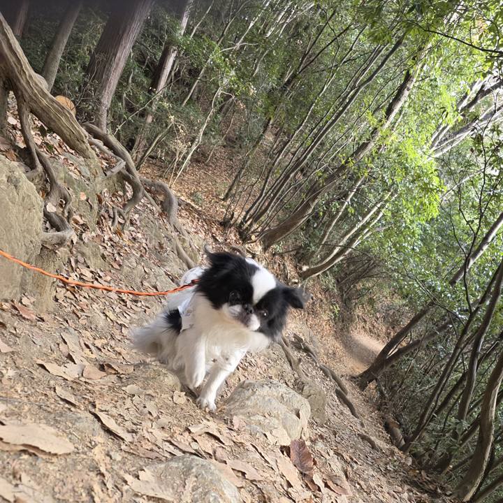 56a41840 86da 4576 8d5d 99d563217490 1765443748623