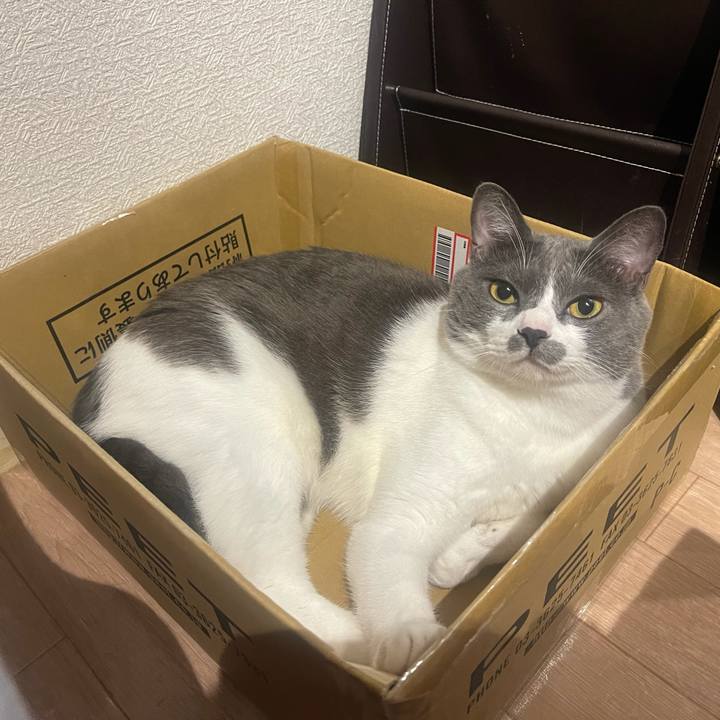 56a4910b ed69 4b29 acb4 432d0ec4199a 1631184137197