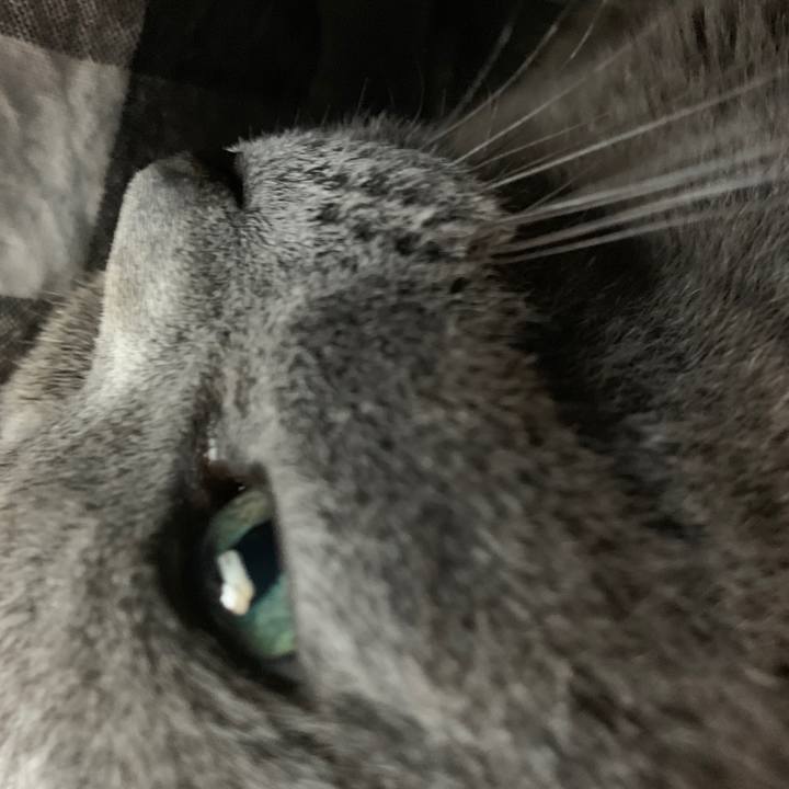 56a49493 e77c 450e 8901 e2997bca4e32 1561194783725