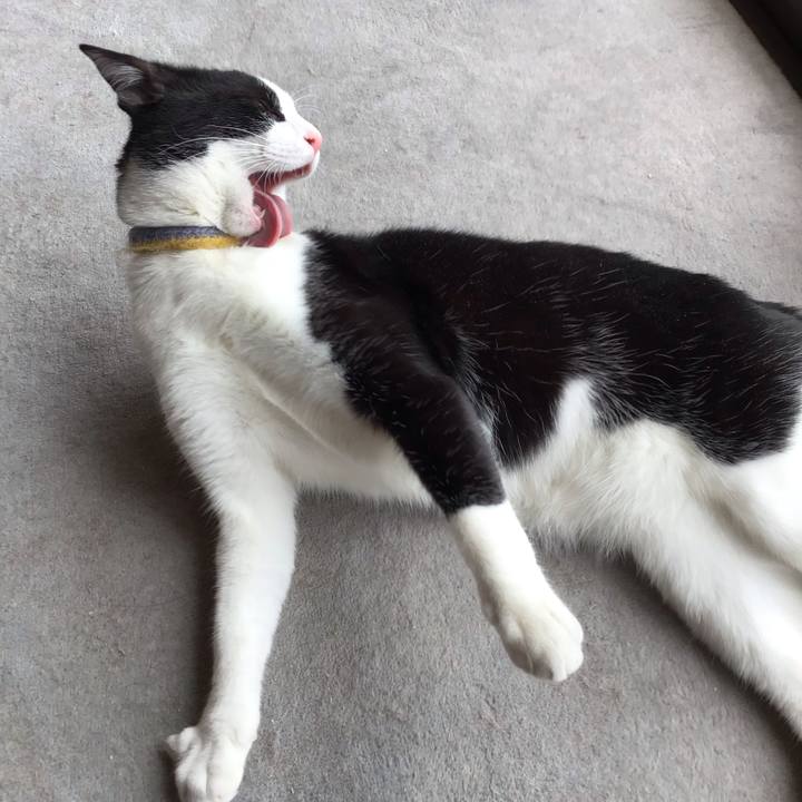 56a4991e c921 40fb 9172 15a2f9e59216 1652328620119