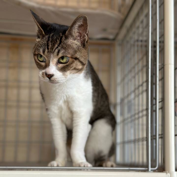 56a4c5b8 a301 4651 ba13 8a757cee79b8 1674094795168