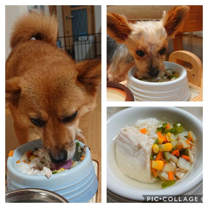 56a4d6ca 73c2 4f59 8e70 52c340ef9764 1566213195263