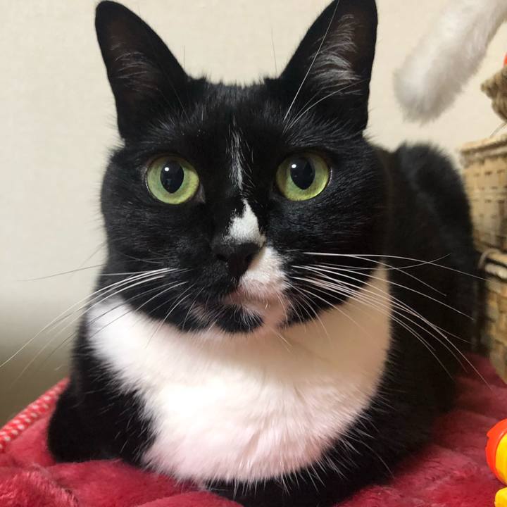 56a4d72b 29ae 4ec1 9a7f d682e5cea1ba 1577405866212