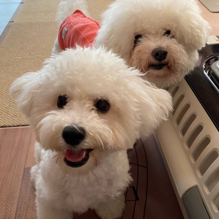 56a4d794 5f5f 478b a2d2 6d6a6aa15266 1757974628291