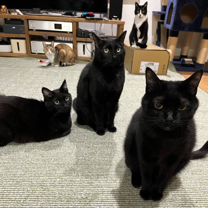 56a4d931 067c 4678 aab9 555cc0df47b6 1710214840950