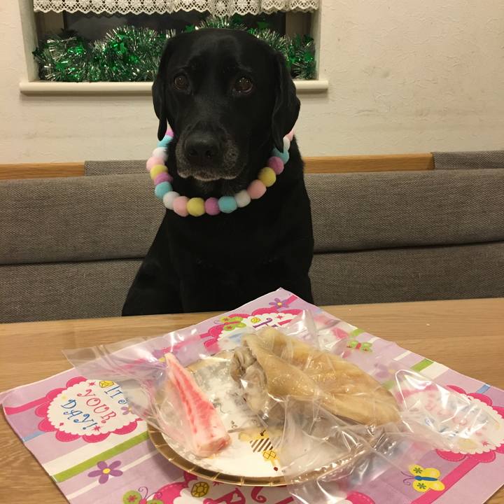 56a4df90 5220 4164 882a 17e6fa363c48 1511826824540