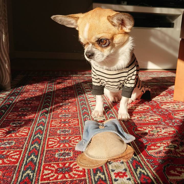 56a52f81 353f 4f0e b06f 53aeda2aae04 1574983793947