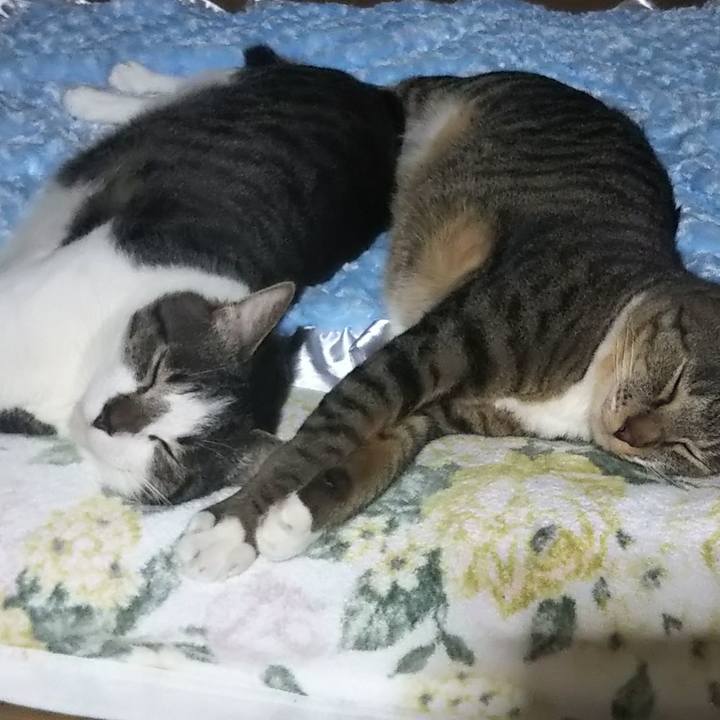 56a54fe1 4177 42c9 bc1d 3e202724c55c 1605416835188