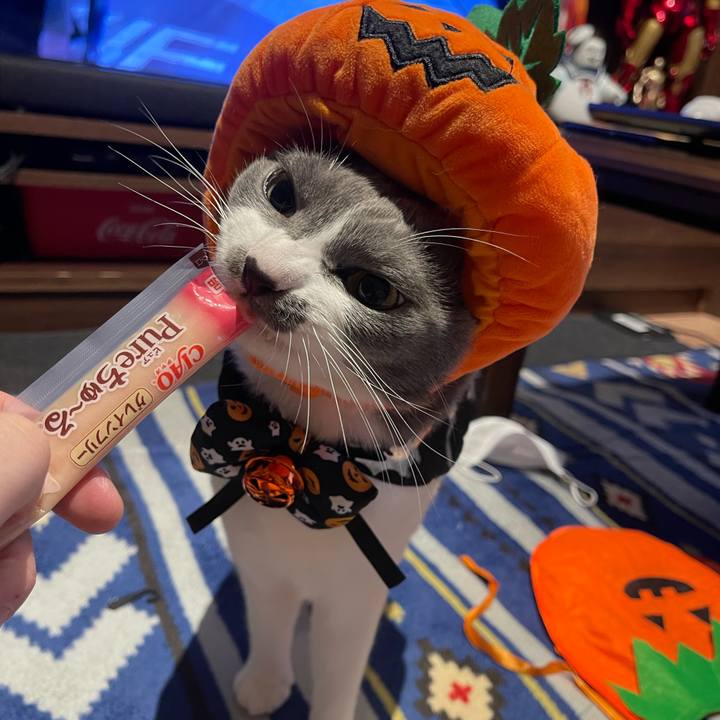 56a55b1b 19df 4af0 a2cc 8dc25e88d5c1 1667202327598