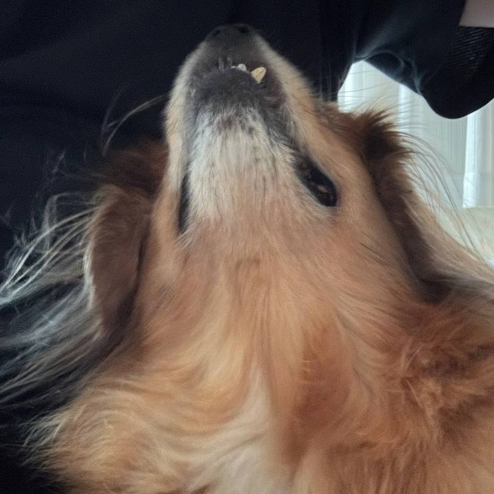 56a56515 0e43 4bfb a8cc ba1c13aa967e 1755638384084