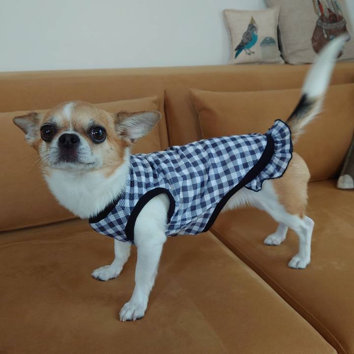 56a5886a 60cd 45e3 92f3 76c4cbd42bc5 1690277625314