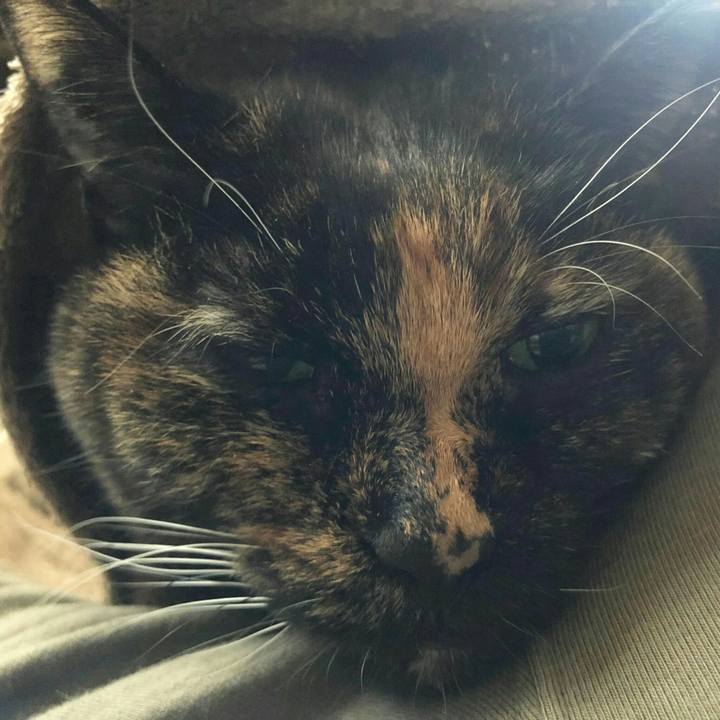 56a58c82 c20c 4fff ab4a 6263f9122598 1636419947654