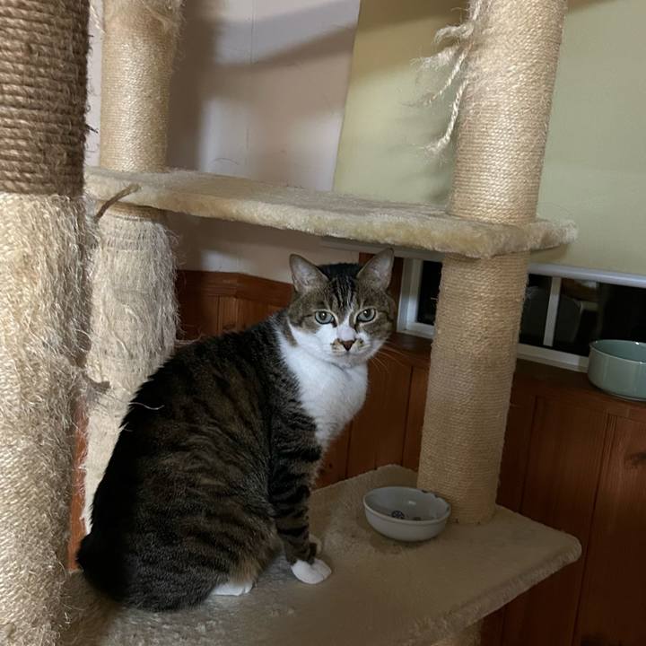 56a59195 e926 43d4 8927 93c8e7c12104 1679918682168