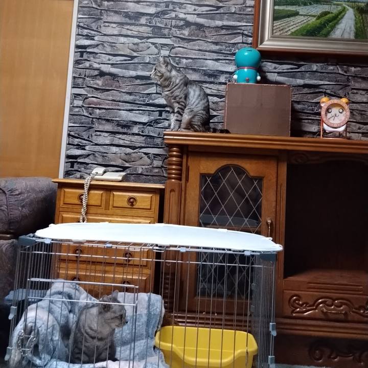 56a5a133 c49e 42ed 84aa 96515186ef27 1600828147330