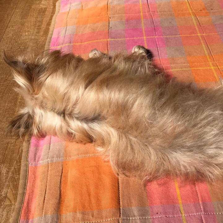 56a5caac bf11 4eb7 953e c936f664a4da 1583890438427