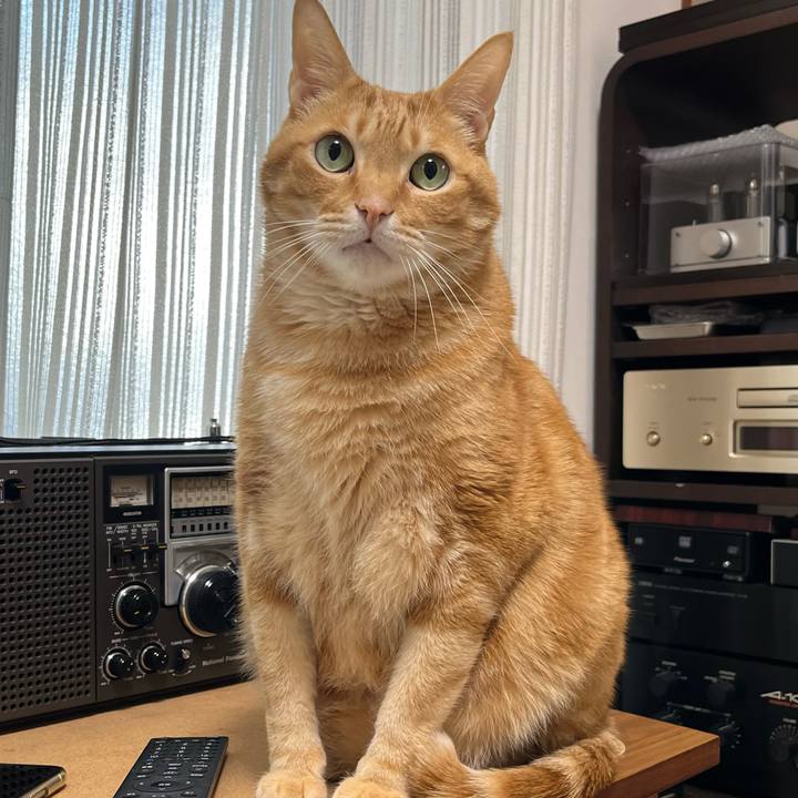 56a5e4df 2821 4bea 93eb 52b08e8e8120 1745930119885