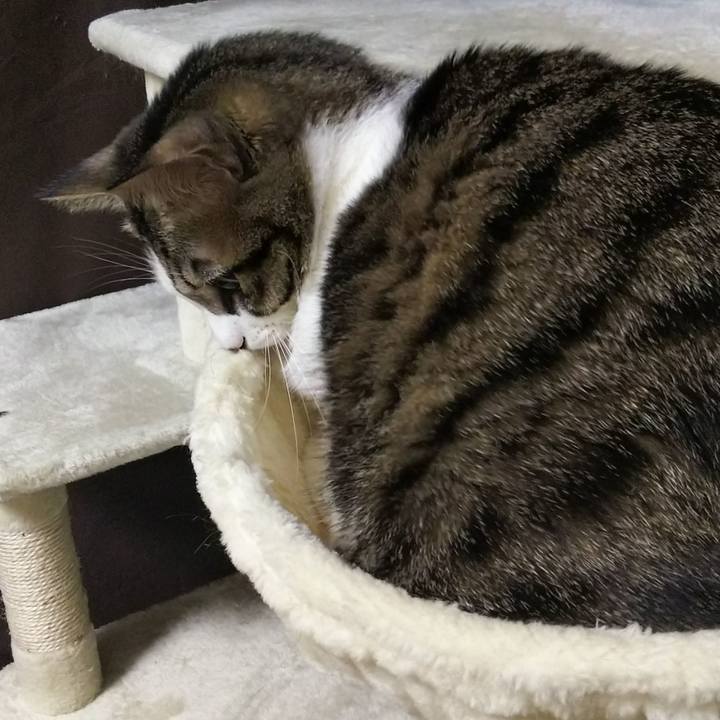 56a5f59b 10ce 407c ab9d a63ed755b106 1639306011027