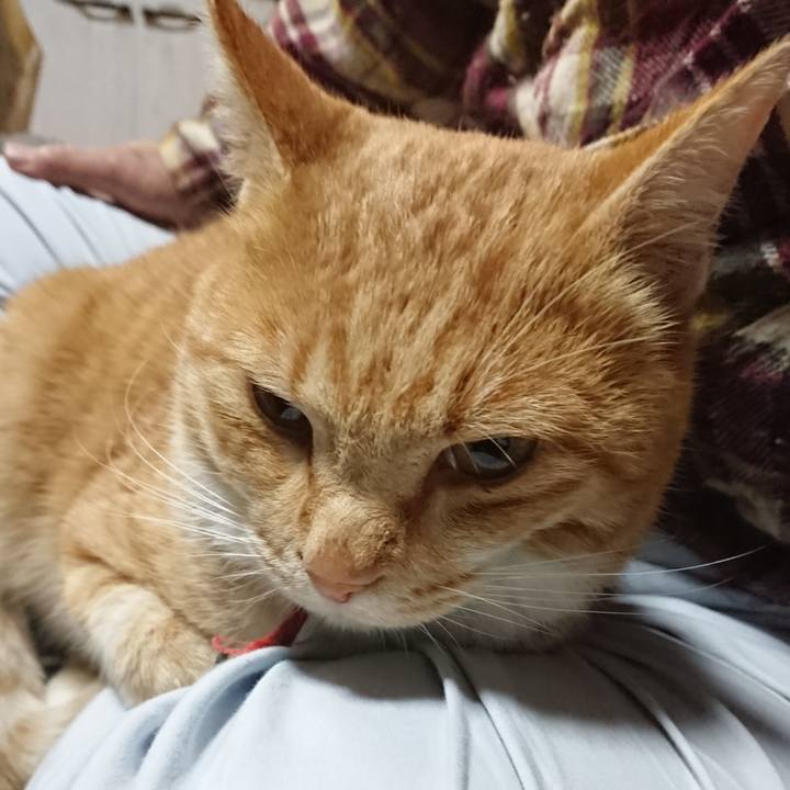 56a5f6f4 a98d 4ef5 a966 b3476d880210 1574245999411