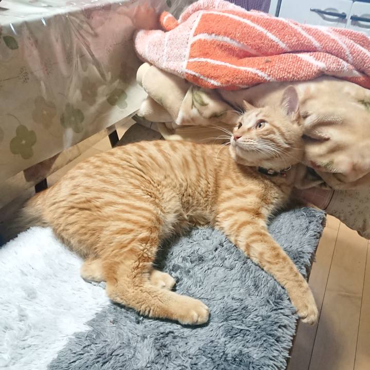 56a64a06 234b 4511 947e 905939861fe3 1651828970059