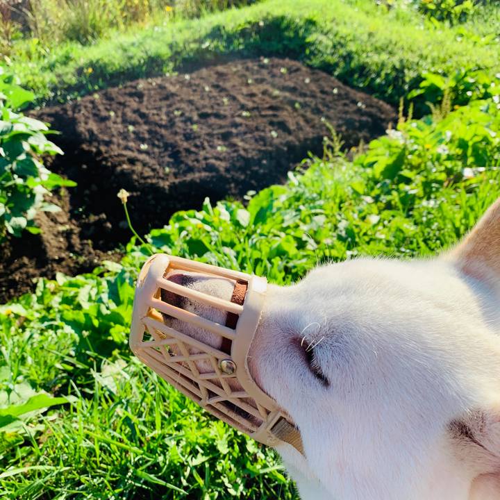 56a66037 88d3 48f7 a905 435eb98f9744 1565819823351