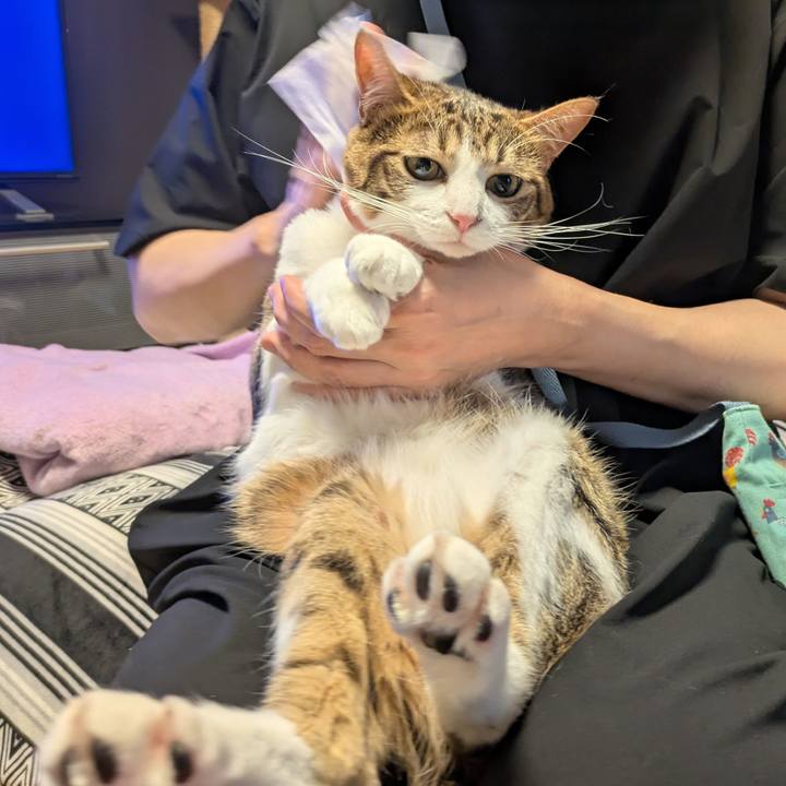 56a6984e b0a8 4bfd ad15 b9d57f64e665 1751867751129