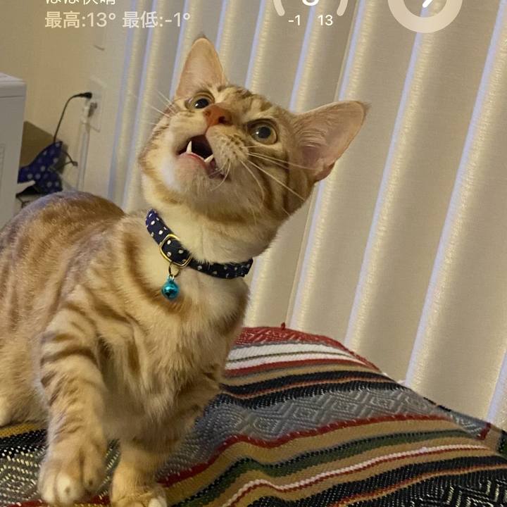 56a698d3 1422 48aa a708 de5a213f17aa 1672304438182