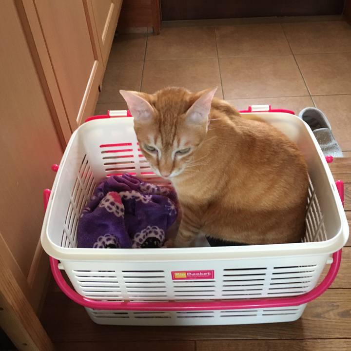 56a71283 007e 4d6a a1fe f0b49aef1430 1507693453477