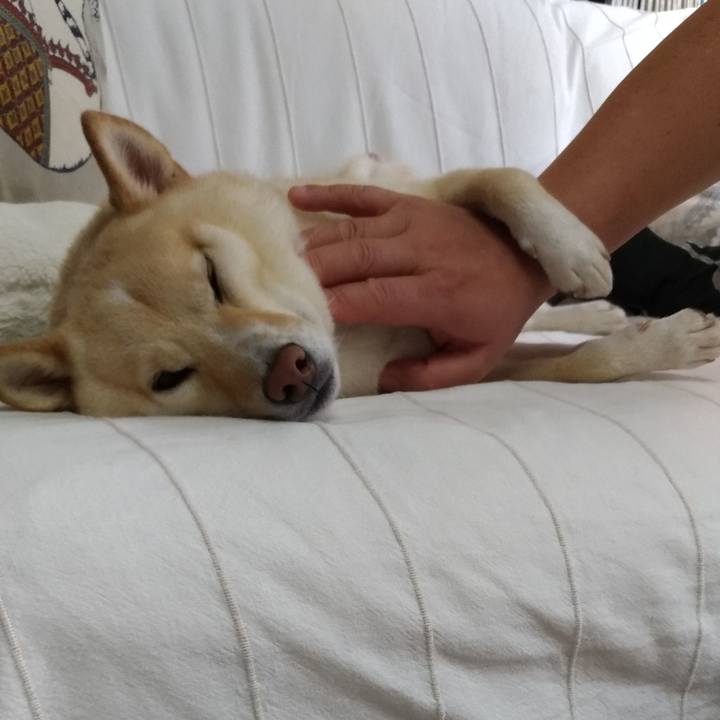 56a74be0 a53c 4a9b 9b7d 556d332a2f37 1602636165632